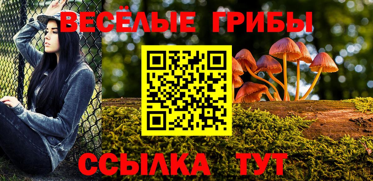 что такое   Псилоцибиновые грибы MAGIC MUSHROOMS  Галлюциногенные грибы мицелий  Вход с VPN  Малоярославец 